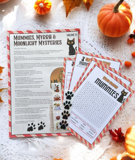 🐾✨ Shadow the Cat Letters ✨🐾